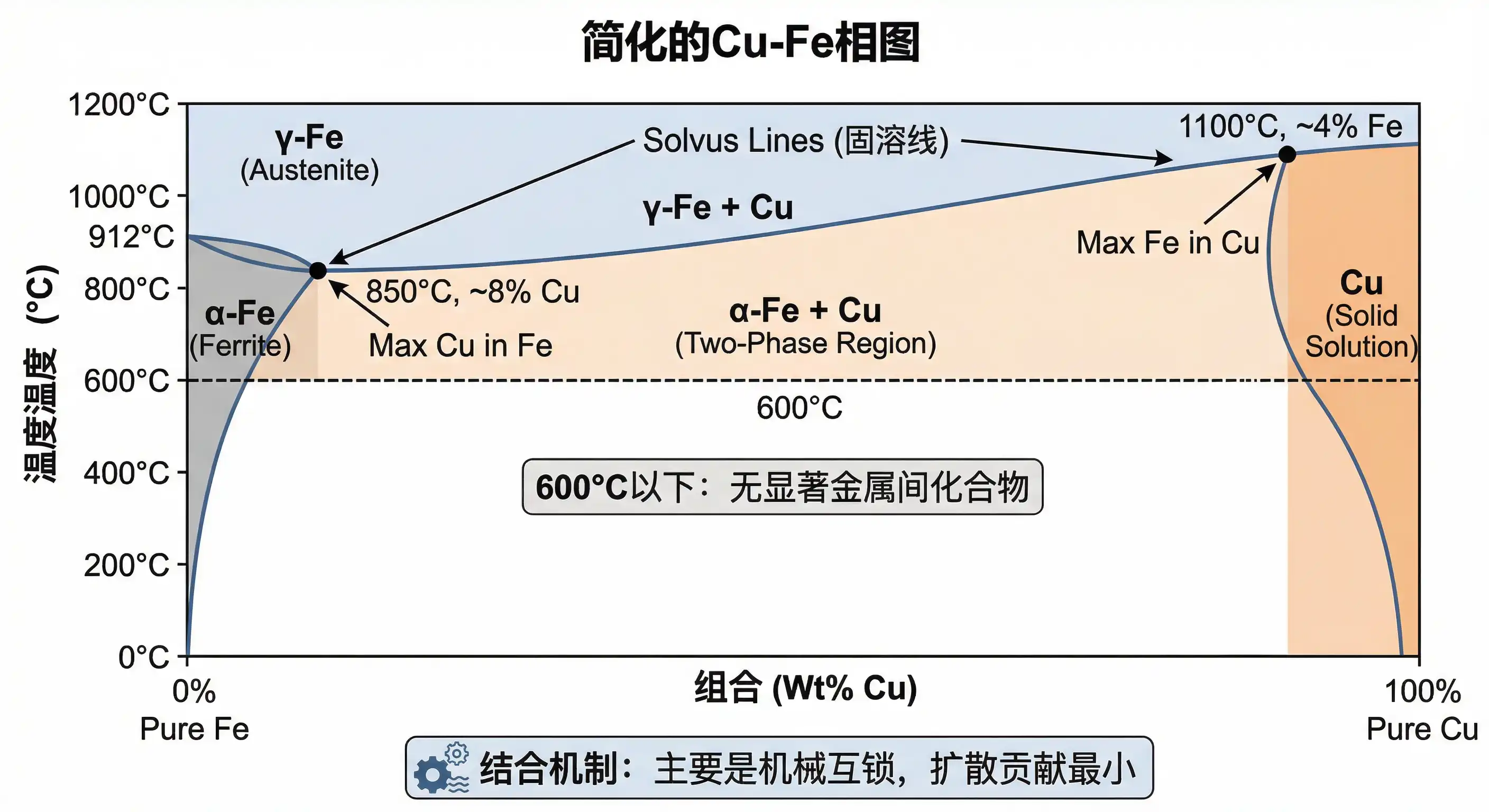 Simplified Cu-Fe binary phase diagram showing limited solubility regions