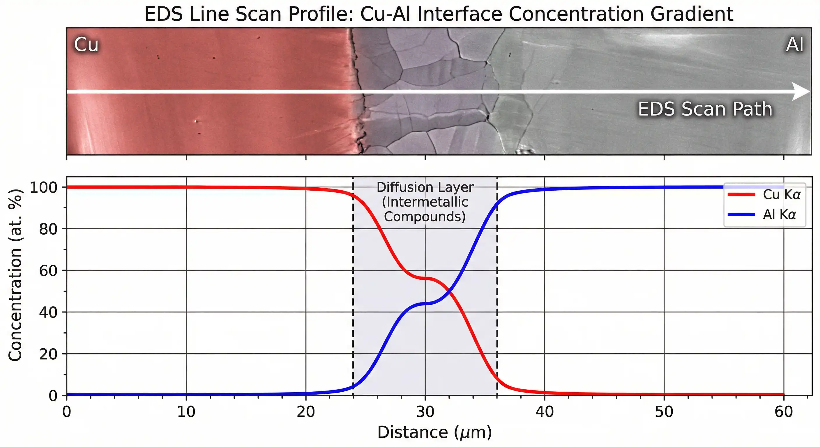 EDS line scan showing copper and aluminum concentration gradient variation across CCA interface